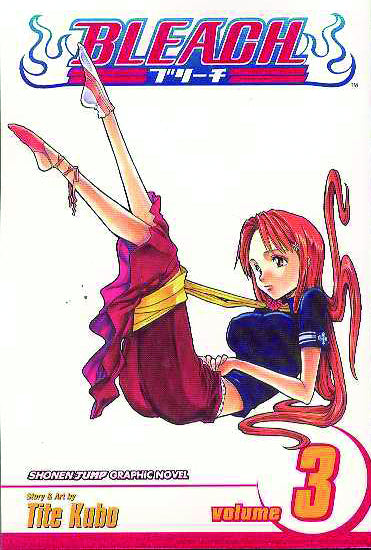 Bleach Vol. 03