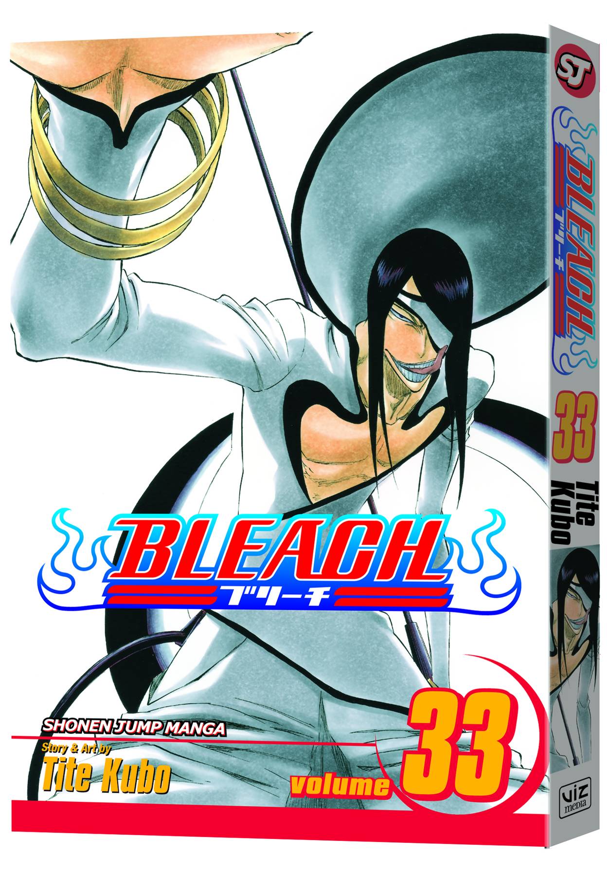 Bleach Vol. 33