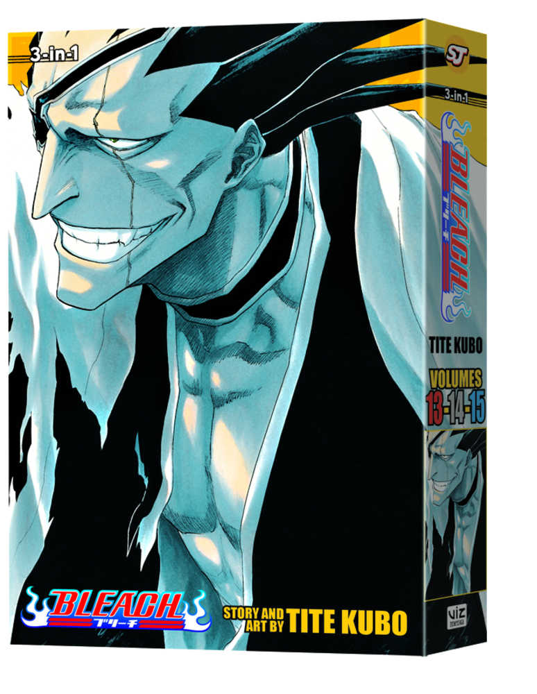 Bleach 3-In-1 Edition Volume 05