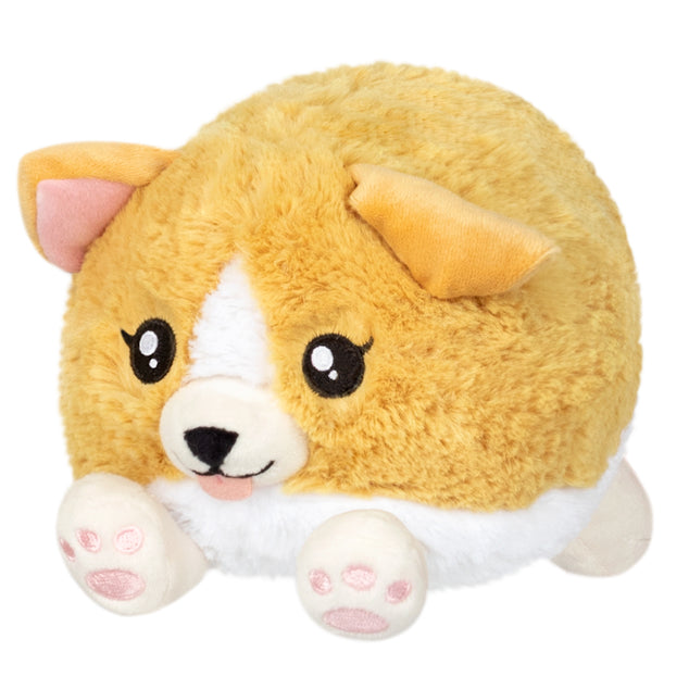 Squishable Snackers Baby Corgi