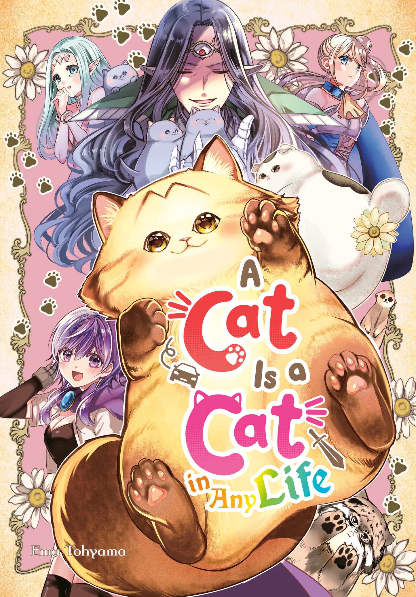 Cat is a Cat in any Life