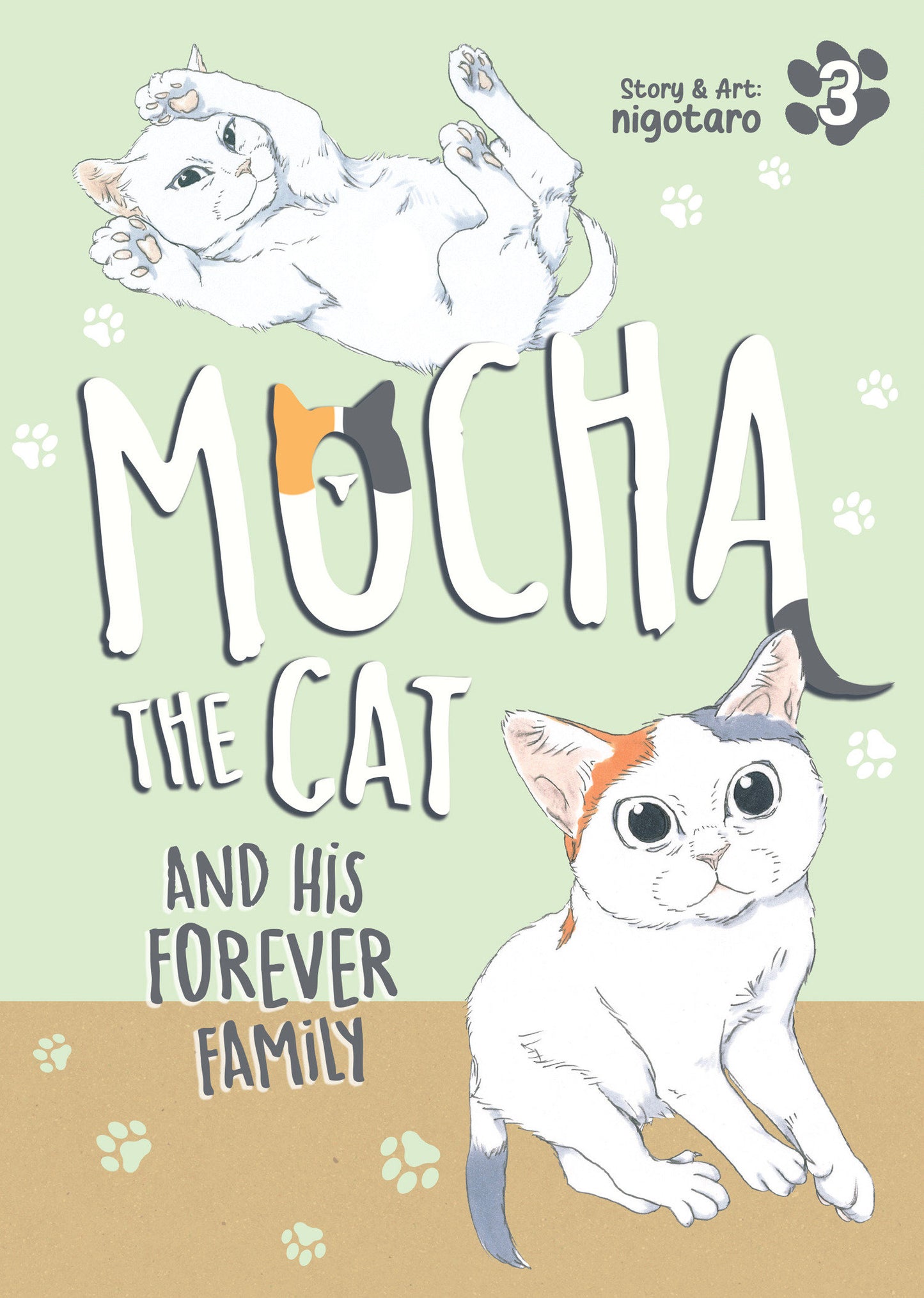 Mocha The Cat And His Forever Family Volume 03