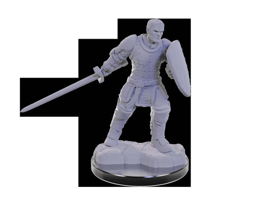 D&D Nolzur's Marvelous Unpainted Miniatures Reborn Paladin & Warlock