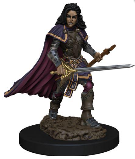 Pathfinder Unpainted Human Bard Female