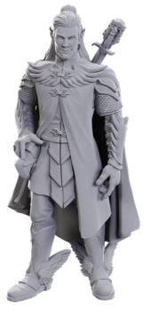Critical Role Unpainted WV23 Dorian Storm (WV23)