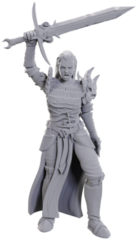 D&D Unpainted Blackguard (WV25)