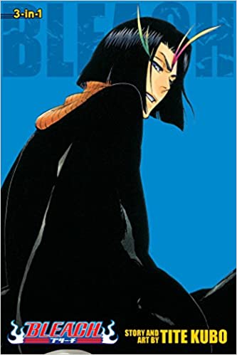 Bleach 3-in-1 Vol. 13