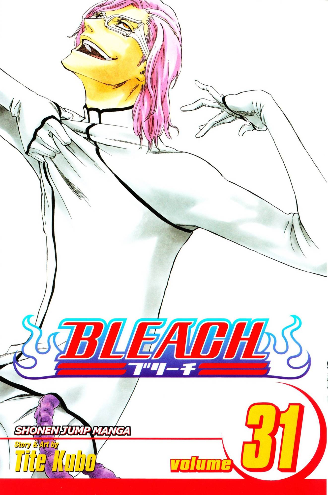 Bleach Vol. 31