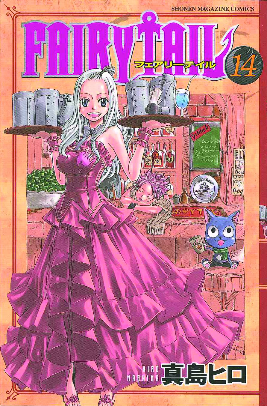 Fairy Tail Vol. 14