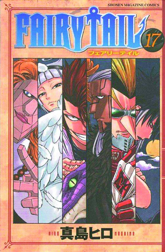 Fairy Tail Vol. 17