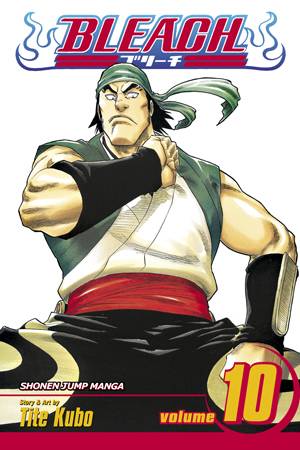 Bleach Vol. 10