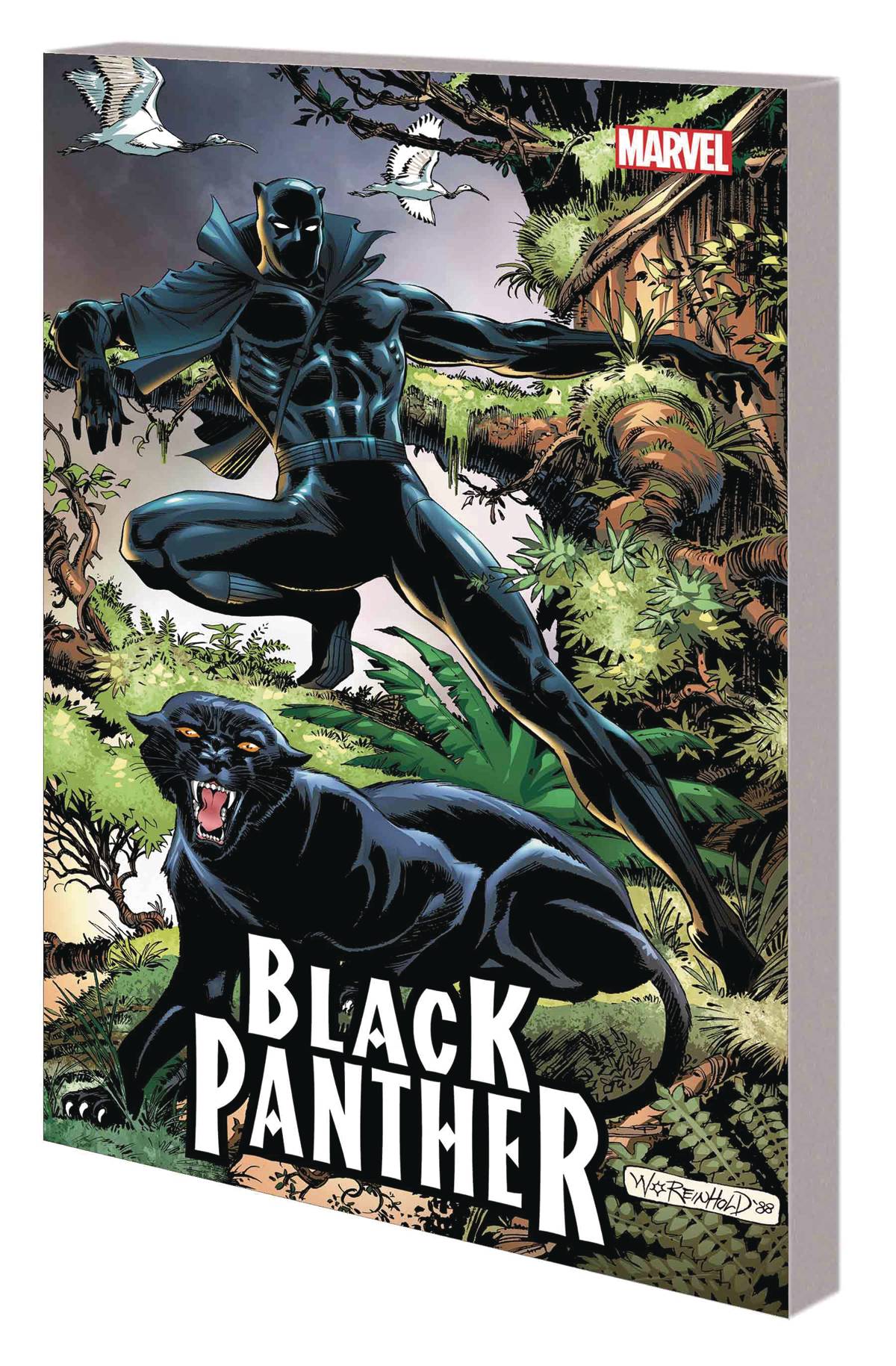 Black Panther Panther's Quest