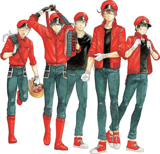 Cells at Work Code Black Volume 06