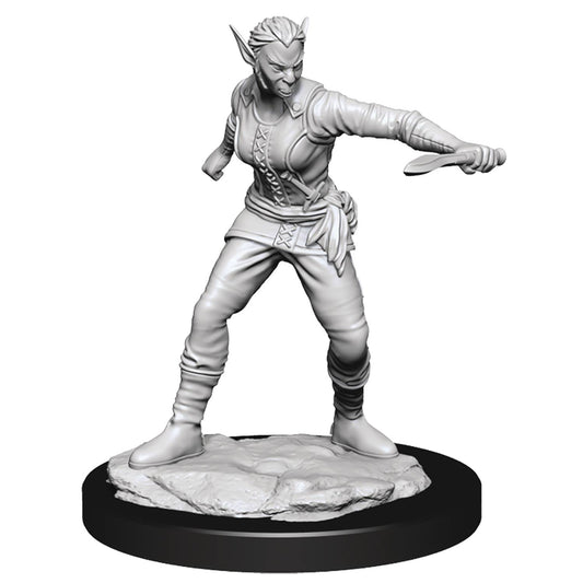 D&D Unpainted Shifter Rogue Fe